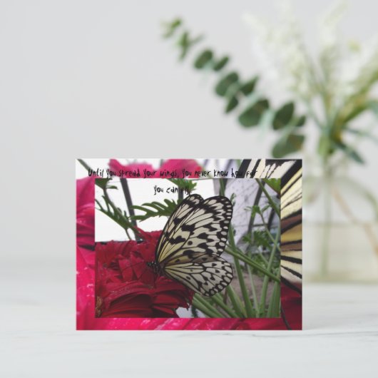 Zwarte en witte vlinder briefkaart (Staand voorkant)