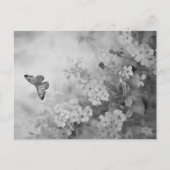 Zwarte en witte vlinder briefkaart (Voorkant)