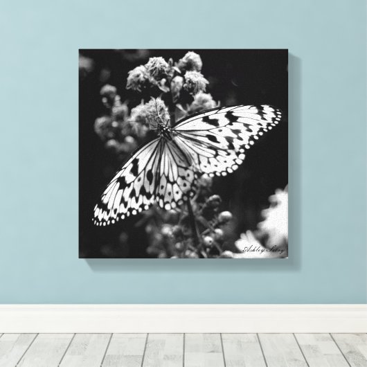Zwarte en witte vlinder canvas afdruk (Insitu (Houten vloer))
