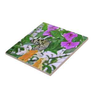 ZWARTE EN WITTE VLINDER IN DE TUIN TEGELTJE