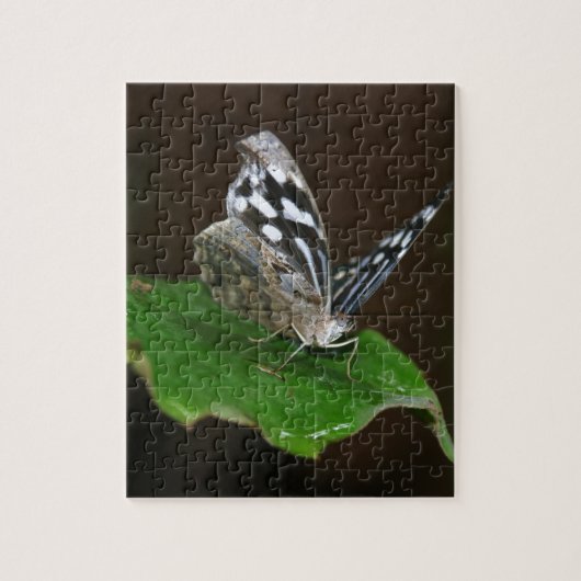 Zwarte en witte vlinder legpuzzel (Verticaal)