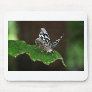 Zwarte en witte vlinder muismat
