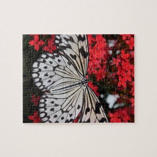 Zwarte en witte vlinder op rode bloemen legpuzzel (Horizontaal)