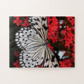 Zwarte en witte vlinder op rode bloemen legpuzzel (Horizontaal)