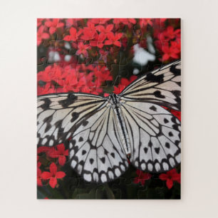 Zwarte en witte vlinder op rode bloemen legpuzzel