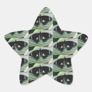 Zwarte en witte vlinder ster sticker