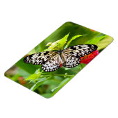 Zwarte en witte vlindermagneet magneet (Linkerzijde)