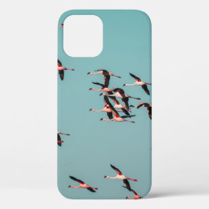 ZWARTE EN WITTE VOGELS Case-Mate iPhone CASE