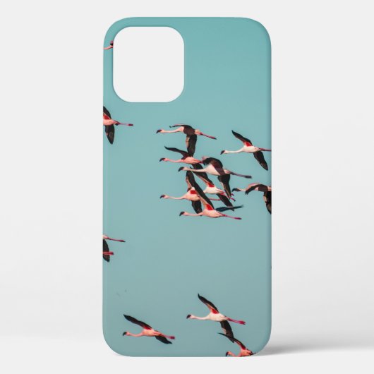 ZWARTE EN WITTE VOGELS Case-Mate iPhone CASE (Achterkant)