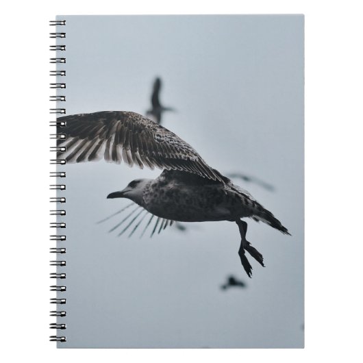 ZWARTE EN WITTE VOGELS NOTITIEBOEK (Voorkant)