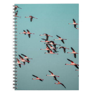 ZWARTE EN WITTE VOGELS NOTITIEBOEK