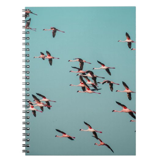 ZWARTE EN WITTE VOGELS NOTITIEBOEK (Voorkant)