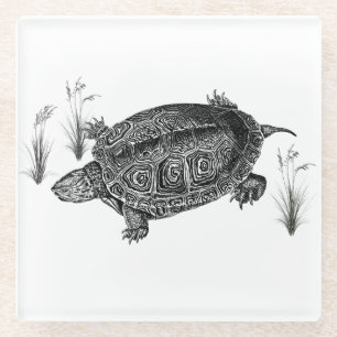 Zwarte en witte waterschildpad glazen onderzetter