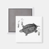 Zwarte en witte waterschildpad magneet (Voorkant / Achterkant)
