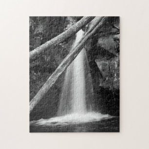 Zwarte en witte waterval legpuzzel