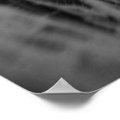 Zwarte en Witte Weeping Birch Poster (Hoek)