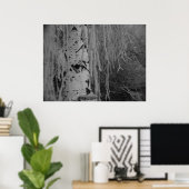 Zwarte en Witte Weeping Birch Poster (Thuiskantoor)