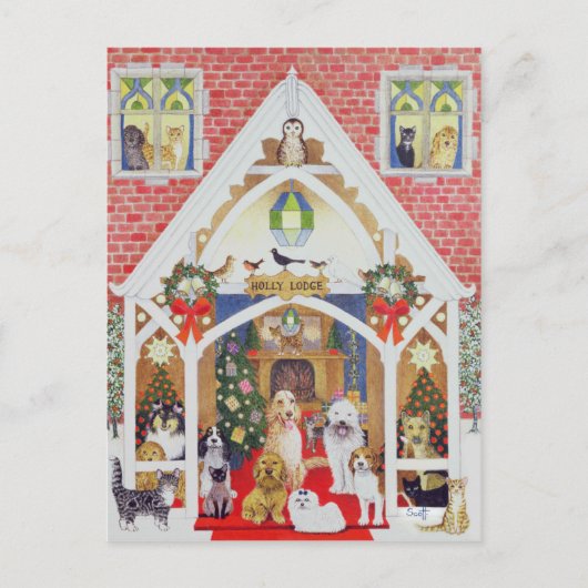 Zwarte en witte whiskers briefkaart (Voorkant)