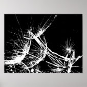 Zwarte en witte whisky poster (Voorkant)