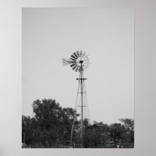 Zwarte en witte windmolen in Texas Field 16x20 Poster