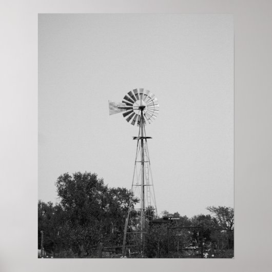 Zwarte en witte windmolen in Texas Field 16x20 Poster (Voorkant)