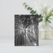 Zwarte en Witte Winter Wonderland Briefkaart (Staand voorkant)