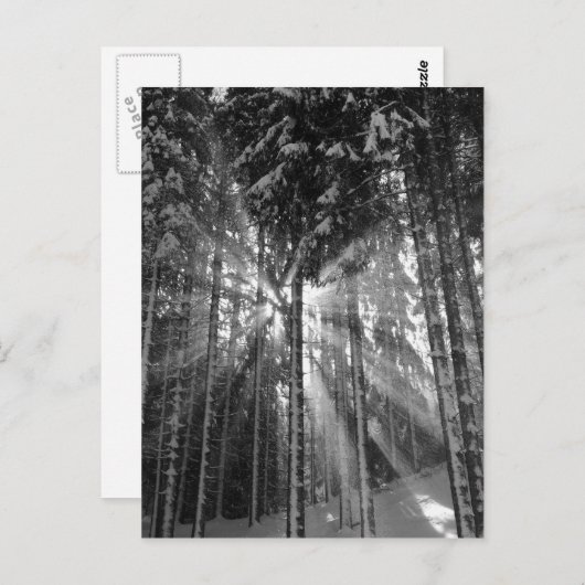 Zwarte en Witte Winter Wonderland Briefkaart (Voorkant / Achterkant)