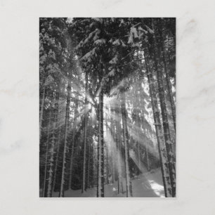 Zwarte en Witte Winter Wonderland Briefkaart