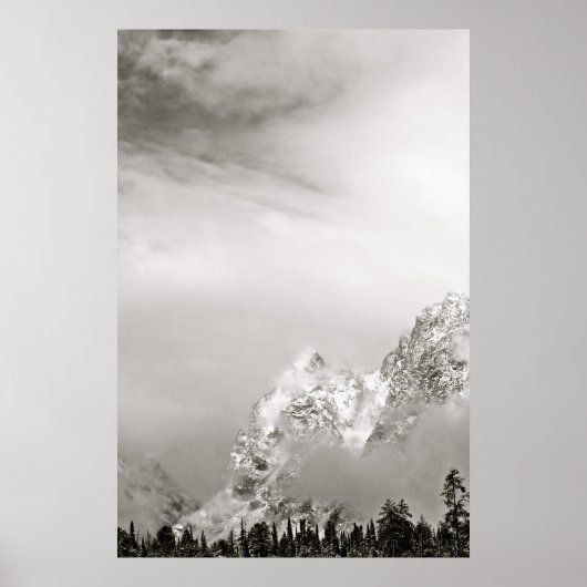 ZWARTE EN WITTE WINTERLANDSCHAP POSTER (Voorkant)