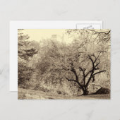 Zwarte en witte winterstructuur in het midden van  briefkaart (Voorkant / Achterkant)