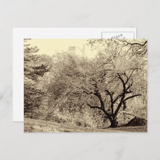 Zwarte en witte winterstructuur in het midden van  briefkaart (Voorkant / Achterkant)