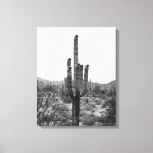 Zwarte en witte woestijn Saguaro Cactus 16x20 Canvas Afdruk