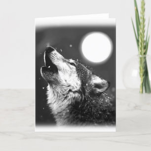Zwarte en witte wolf huilen bij Moon Wenskaart Kaart