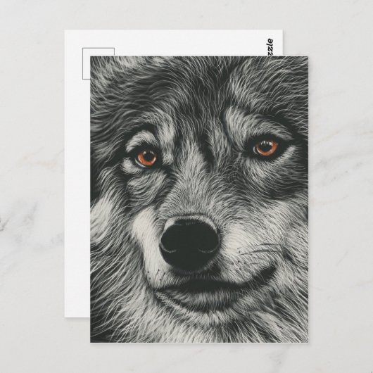 Zwarte en witte wolf illustratie briefkaart (Voorkant / Achterkant)
