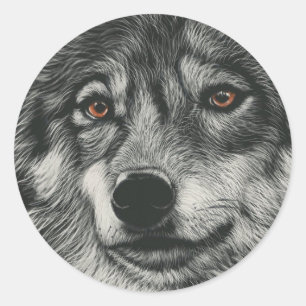 Zwarte en witte wolf illustratie ronde sticker