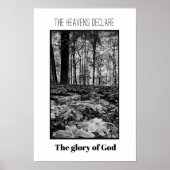 Zwarte en Witte Woud Glorie van God Poster (Voorkant)