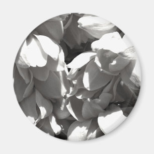 zwarte en witte yucca lilly magneet