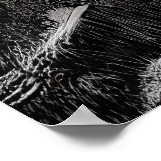 Zwarte en witte Zebra | AI Art Poster (Hoek)