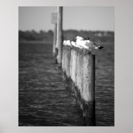 Zwarte en witte zeegarren op posten 16x20 poster