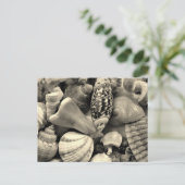 Zwarte en witte zeeschelpen Blank Briefkaart (Staand voorkant)