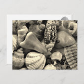 Zwarte en witte zeeschelpen Blank Briefkaart (Voorkant / Achterkant)