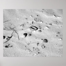 Zwarte en witte zeeschelpen in de zand 16x20 poster