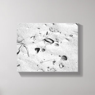Zwarte en witte zeeschelpen in de zand 8x10 canvas afdruk