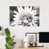 Zwarte en witte zonnebloem en bijen poster (Thuiskantoor)