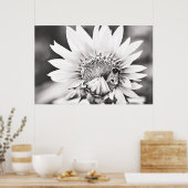 Zwarte en witte zonnebloem en bijen poster (Keuken)