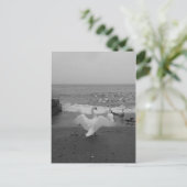 Zwarte en witte zwanen en vogels op het Ontario-me Briefkaart (Staand voorkant)