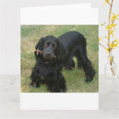 zwarte engelse cocker spaniel vol 2 kaart (Gele Bloem)