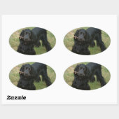 zwarte engelse cocker spaniel vol 2 ovale sticker (Vel)