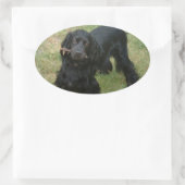 zwarte engelse cocker spaniel vol 2 ovale sticker (Tas)