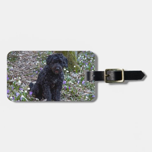 Zwarte Engelse Springer Spaniel Bagagelabel (Voorkant horizontaal)